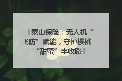 泰山保险：无人机“飞防”赋能，守护樱桃“甜蜜”丰收路