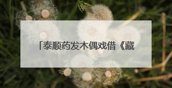 泰顺药发木偶戏借《藏海传》再入大众视野