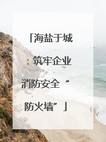 海盐于城：筑牢企业消防安全“防火墙”