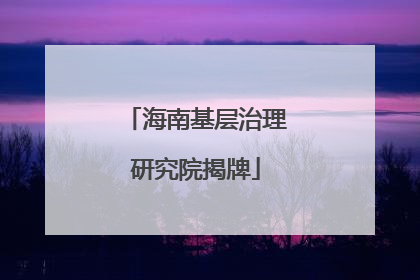 海南基层治理研究院揭牌