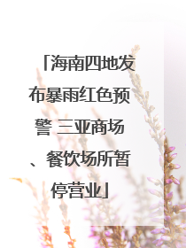 海南四地发布暴雨红色预警 三亚商场、餐饮场所暂停营业