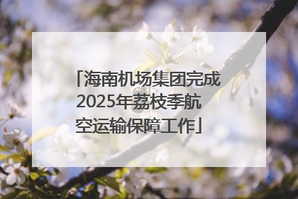 海南机场集团完成2025年荔枝季航空运输保障工作