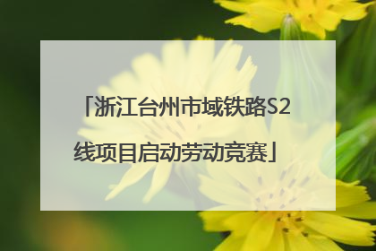 浙江台州市域铁路S2线项目启动劳动竞赛