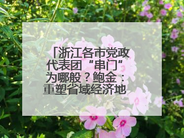 浙江各市党政代表团“串门”为哪般？鲍金：重塑省域经济地理的破题之道