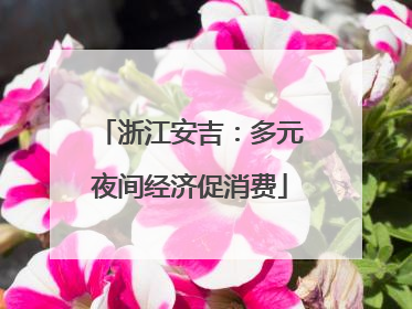 浙江安吉：多元夜间经济促消费