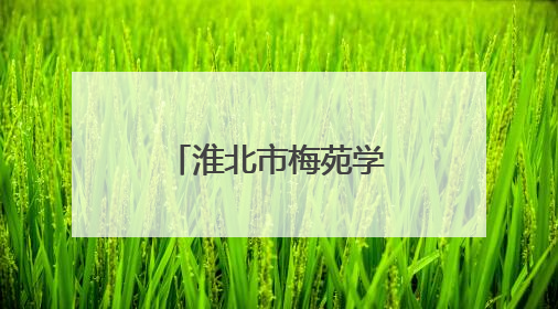 淮北市梅苑学校学子走进淮北市检察院沉浸式感受司法魅力
