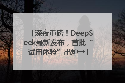 深夜重磅！DeepSeek最新发布，首批“试用体验”出炉→