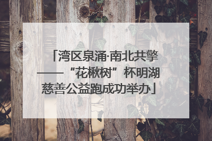 湾区泉涌·南北共擎——“花楸树”杯明湖慈善公益跑成功举办