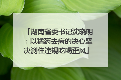 湖南省委书记沈晓明：以猛药去疴的决心坚决刹住违规吃喝歪风
