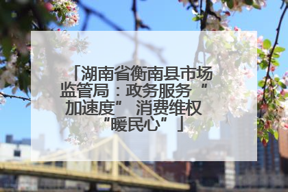 湖南省衡南县市场监管局：政务服务“加速度” 消费维权“暖民心”