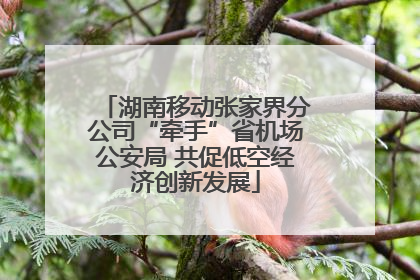 湖南移动张家界分公司“牵手”省机场公安局 共促低空经济创新发展