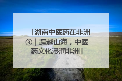 湖南中医药在非洲③｜跨越山海，中医药文化浸润非洲