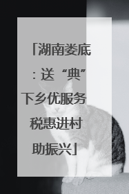 湖南娄底：送“典”下乡优服务 税惠进村助振兴