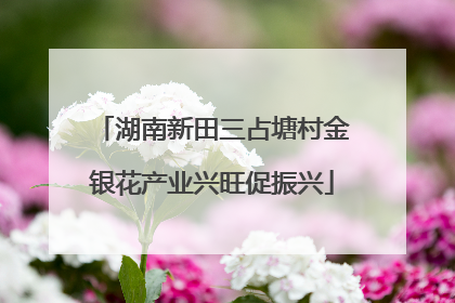湖南新田三占塘村金银花产业兴旺促振兴