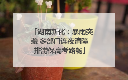 湖南新化：暴雨突袭 多部门连夜清障排涝保高考路畅