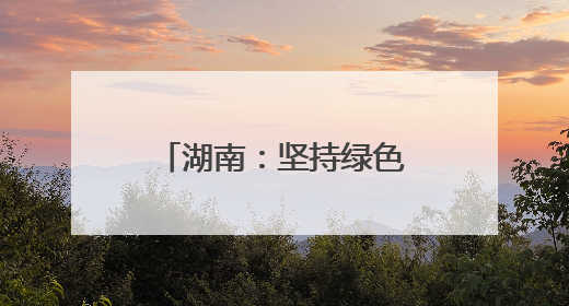 湖南：坚持绿色低碳发展 构建现代化产业体系