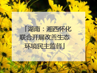 湖南：湘西怀化联合开展改善生态环境民主监督
