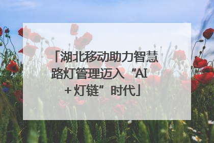 湖北移动助力智慧路灯管理迈入“AI＋灯链”时代