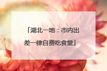 湖北一地：市内出差一律自费吃食堂