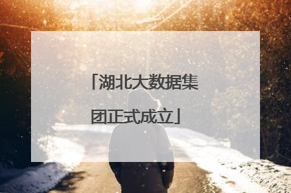 湖北大数据集团正式成立
