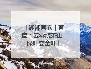 湖湘画卷｜宜章：云雾绕茶山 绿叶变金叶