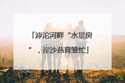 滹沱河畔“水景房”，崖沙燕育雏忙