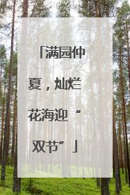 满园仲夏，灿烂花海迎“双节”