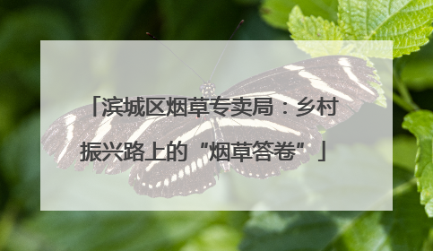 滨城区烟草专卖局：乡村振兴路上的“烟草答卷”