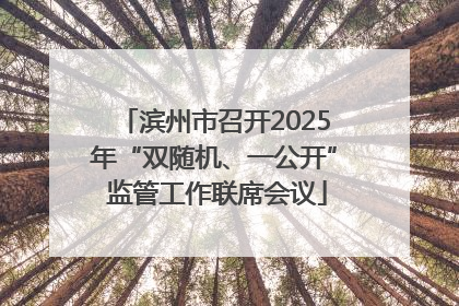 滨州市召开2025年“双随机、一公开” 监管工作联席会议