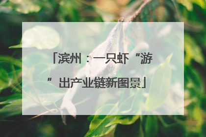 滨州：一只虾“游”出产业链新图景