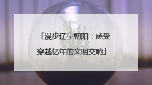 漫步辽宁朝阳：感受穿越亿年的文明交响