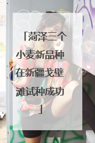 菏泽三个小麦新品种在新疆戈壁滩试种成功
