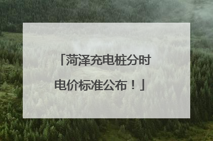 菏泽充电桩分时电价标准公布！