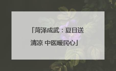 菏泽成武：夏日送清凉 中医暖民心