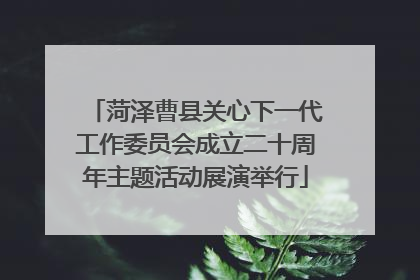 菏泽曹县关心下一代工作委员会成立二十周年主题活动展演举行