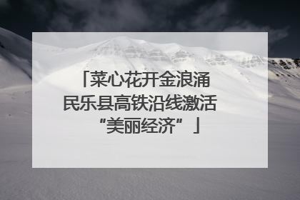 菜心花开金浪涌 民乐县高铁沿线激活“美丽经济”