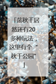 荡秋千居然还有20多种玩法，这里有个“秋千公园”