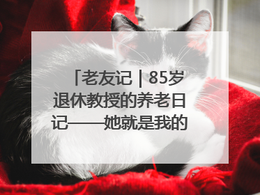老友记｜85岁退休教授的养老日记——她就是我的“绿野仙庄”