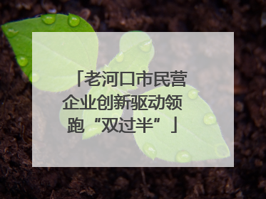 老河口市民营企业创新驱动领跑“双过半”