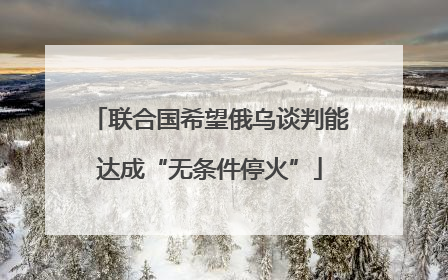 联合国希望俄乌谈判能达成“无条件停火”