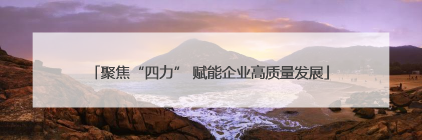 聚焦“四力” 赋能企业高质量发展