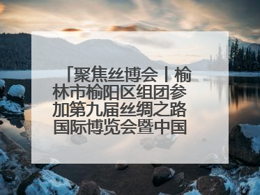 聚焦丝博会丨榆林市榆阳区组团参加第九届丝绸之路国际博览会暨中国东西部合作与投资贸易洽谈会