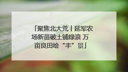 聚焦北大荒丨延军农场新苗破土铺绿浪 万亩良田绘“丰”景