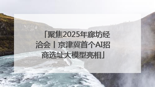 聚焦2025年廊坊经洽会丨京津冀首个AI招商选址大模型亮相