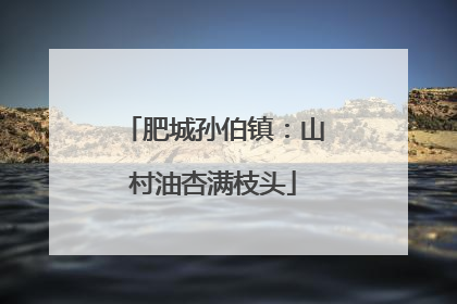 肥城孙伯镇：山村油杏满枝头