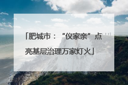肥城市：“仪家亲”点亮基层治理万家灯火