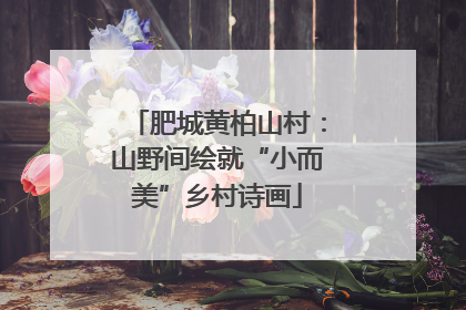 肥城黄柏山村：山野间绘就“小而美”乡村诗画