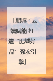 肥城：云端赋能 打造“肥城好品”强农引擎