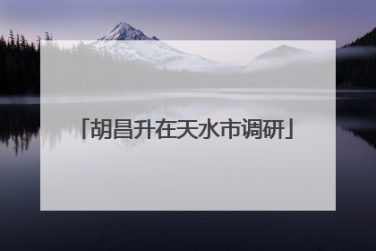 胡昌升在天水市调研