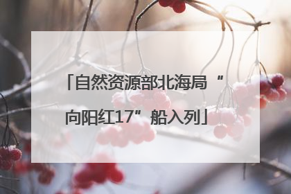 自然资源部北海局“向阳红17”船入列